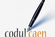 Cod CAEN 3832