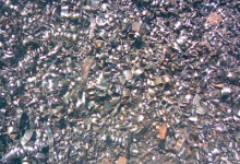 Fier Vechi SC Non Ferro Metalen SRL (Diflora) Centru Colectare Fier Vechi Baia Mare Tabla Fonta Cupru Aluminiu Bronz Plumb Maramures